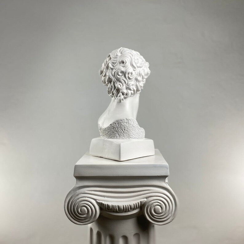 David Terminator Noir